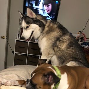 Meet your Posher, Diane